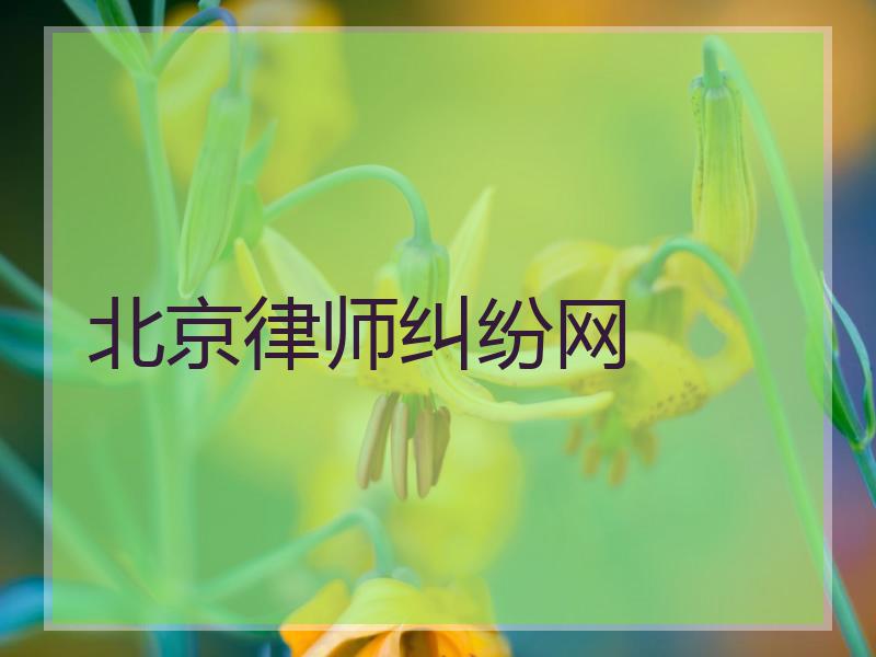 北京律师纠纷网