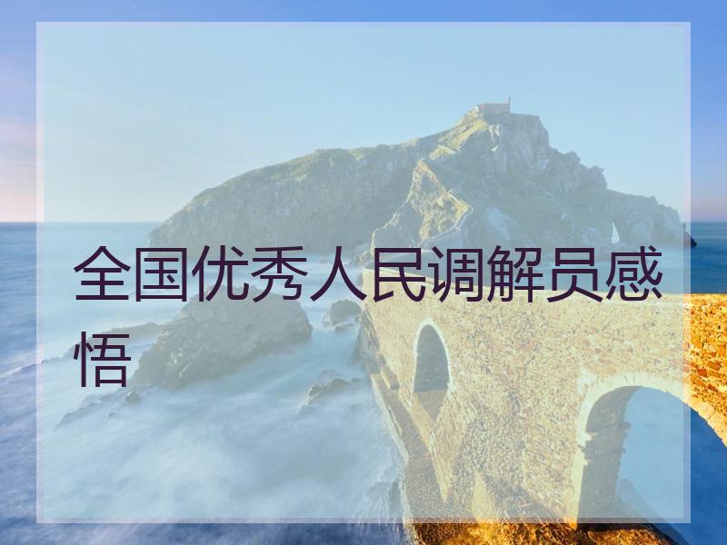 全国优秀人民调解员感悟