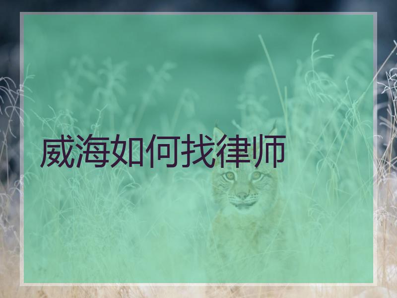 威海如何找律师