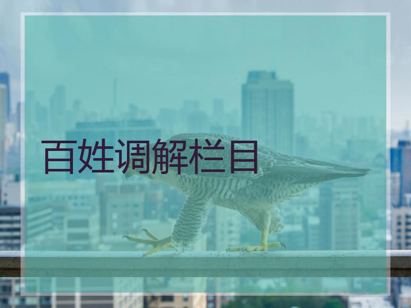 百姓调解栏目