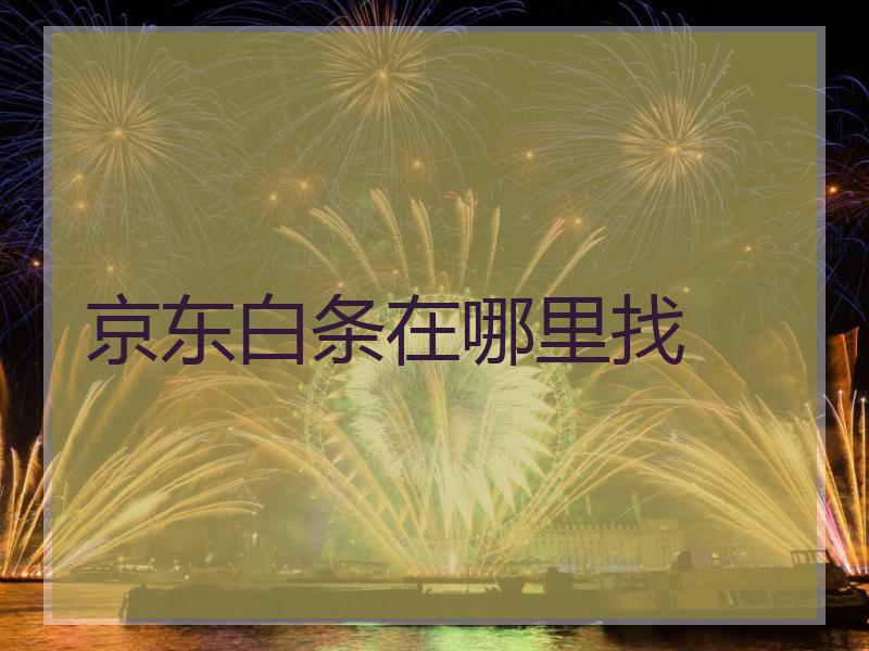 京东白条在哪里找