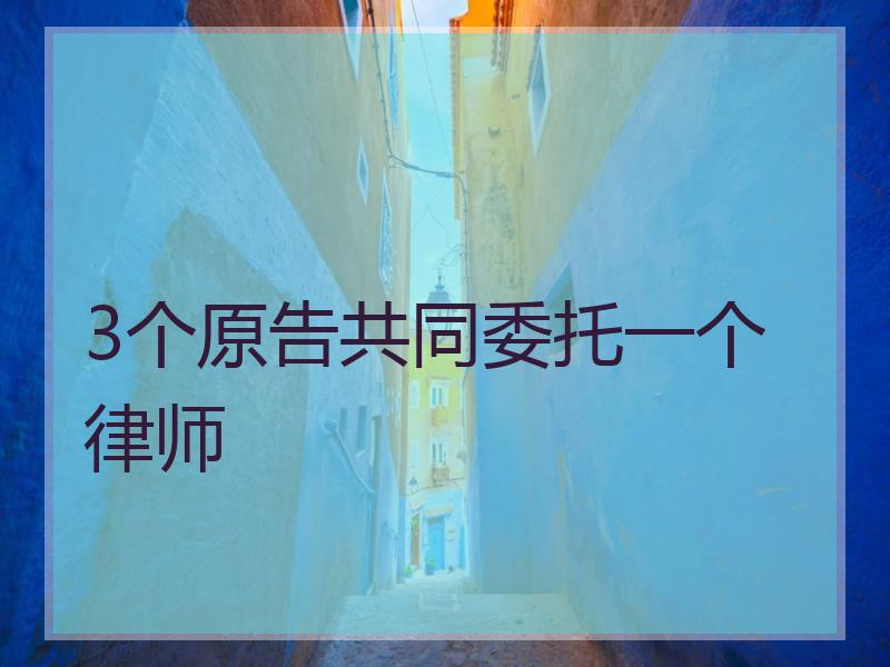 3个原告共同委托一个律师