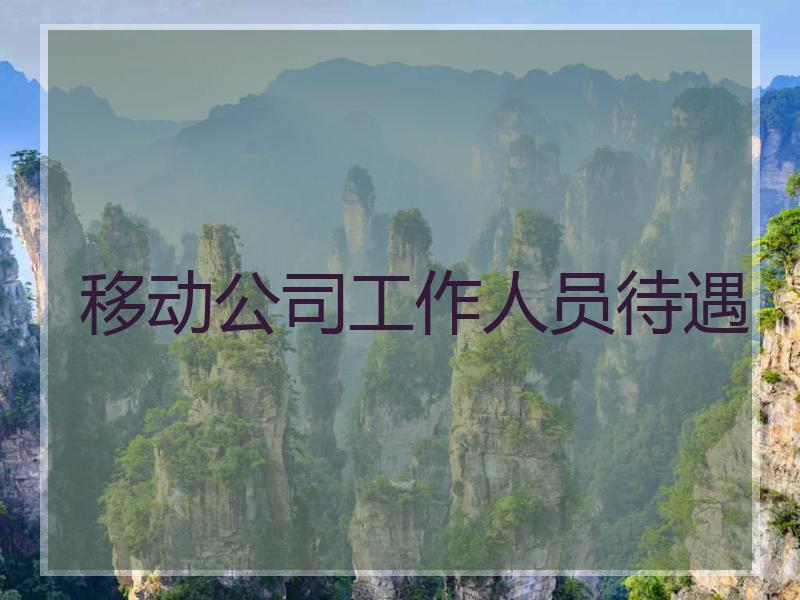 移动公司工作人员待遇