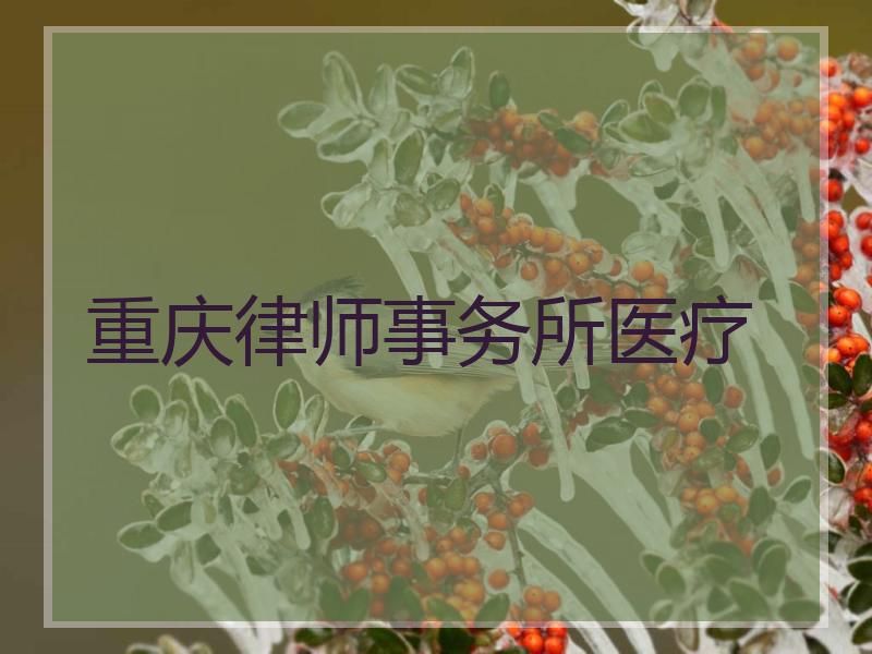 重庆律师事务所医疗