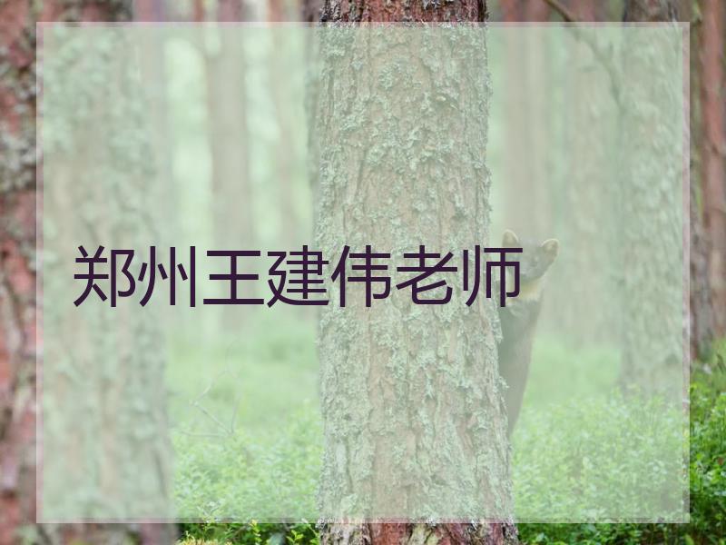 郑州王建伟老师