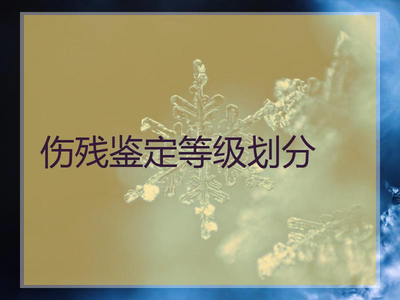 伤残鉴定等级划分