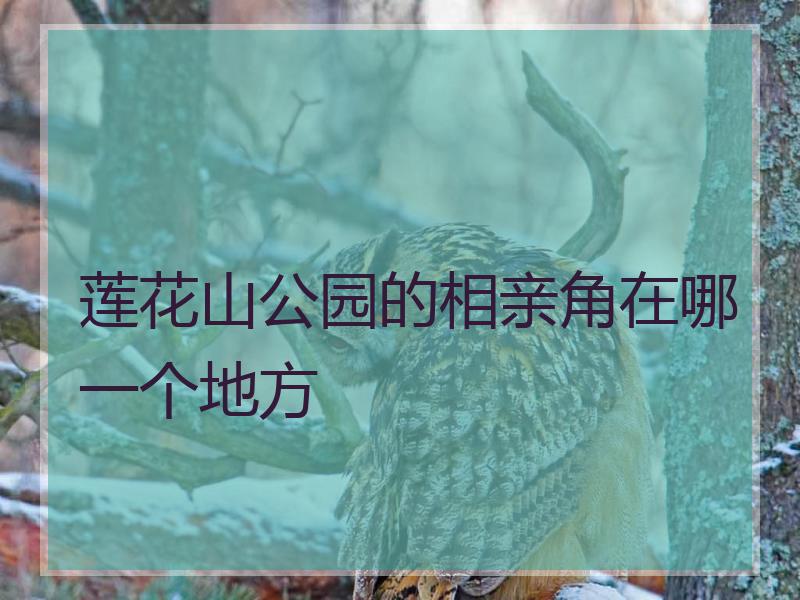 莲花山公园的相亲角在哪一个地方