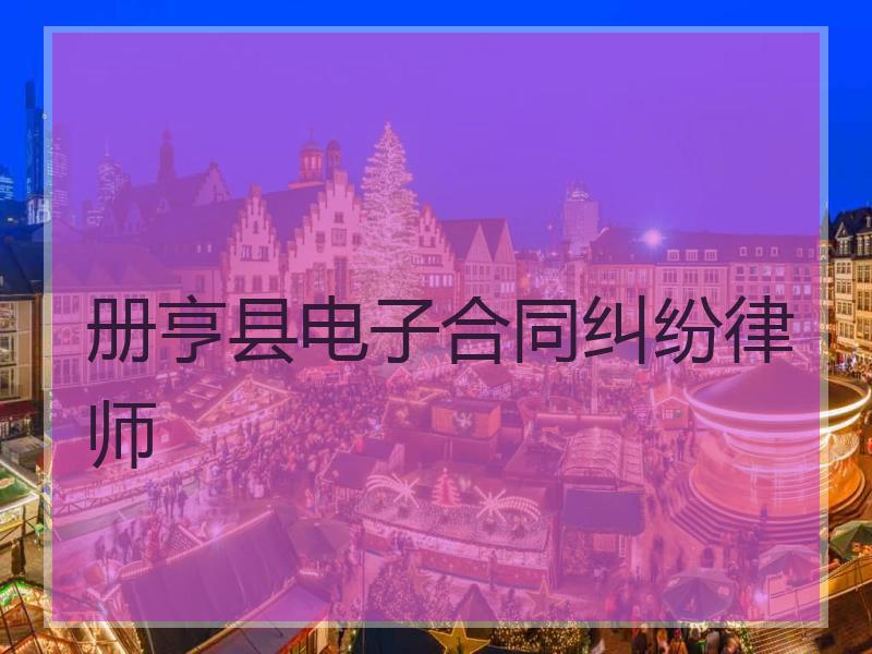 册亨县电子合同纠纷律师