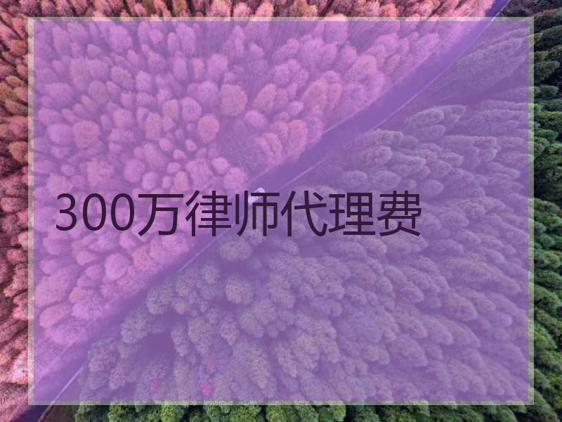 300万律师代理费