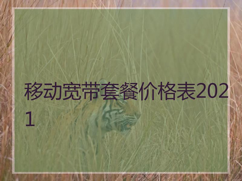 移动宽带套餐价格表2021