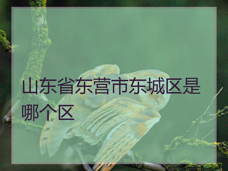 山东省东营市东城区是哪个区