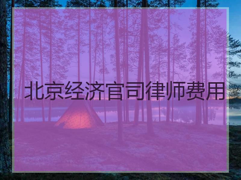 北京经济官司律师费用