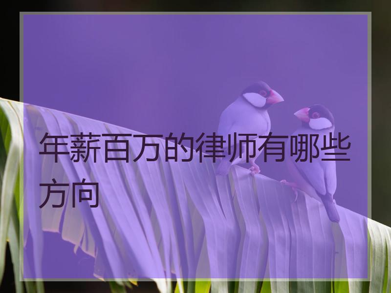 年薪百万的律师有哪些方向
