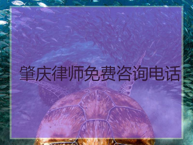 肇庆律师免费咨询电话