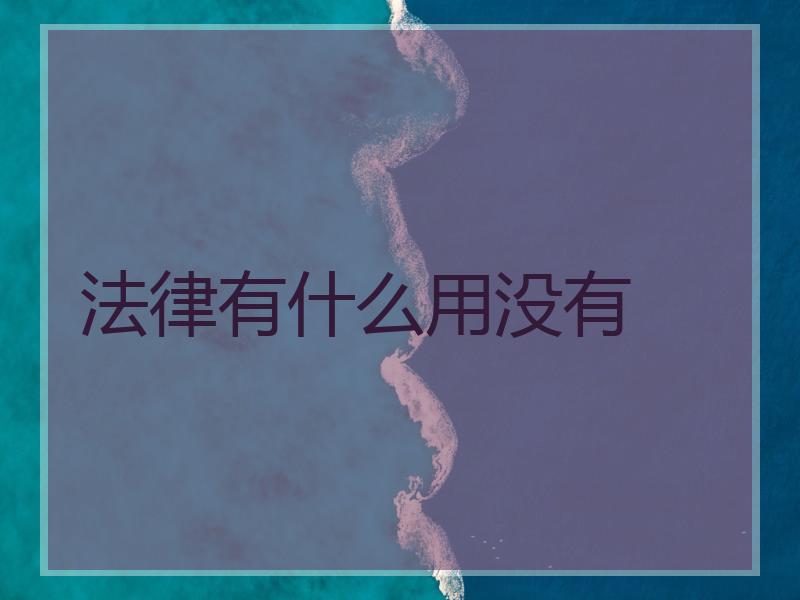 法律有什么用没有