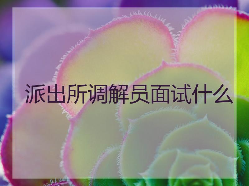 派出所调解员面试什么
