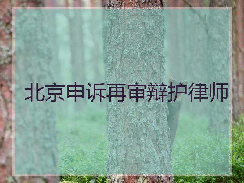 北京申诉再审辩护律师