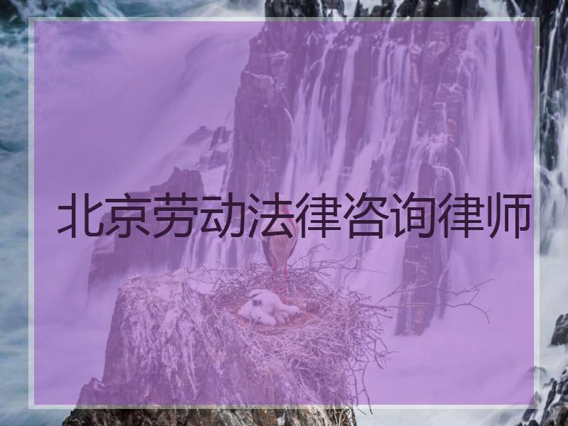 北京劳动法律咨询律师