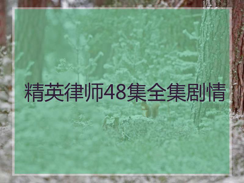 精英律师48集全集剧情