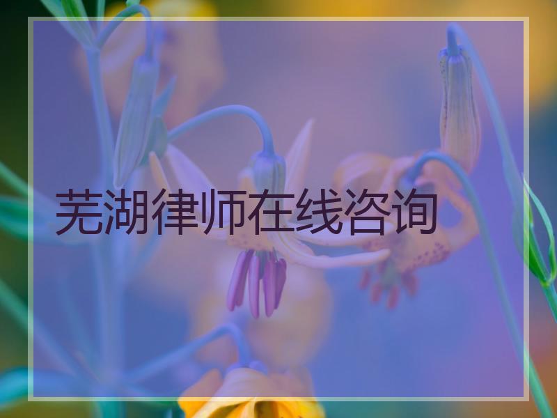 芜湖律师在线咨询