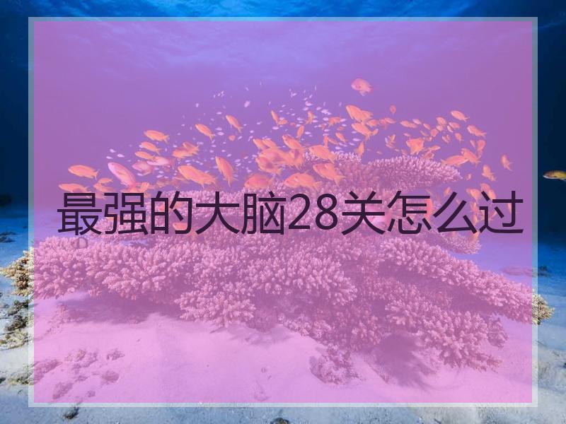 最强的大脑28关怎么过
