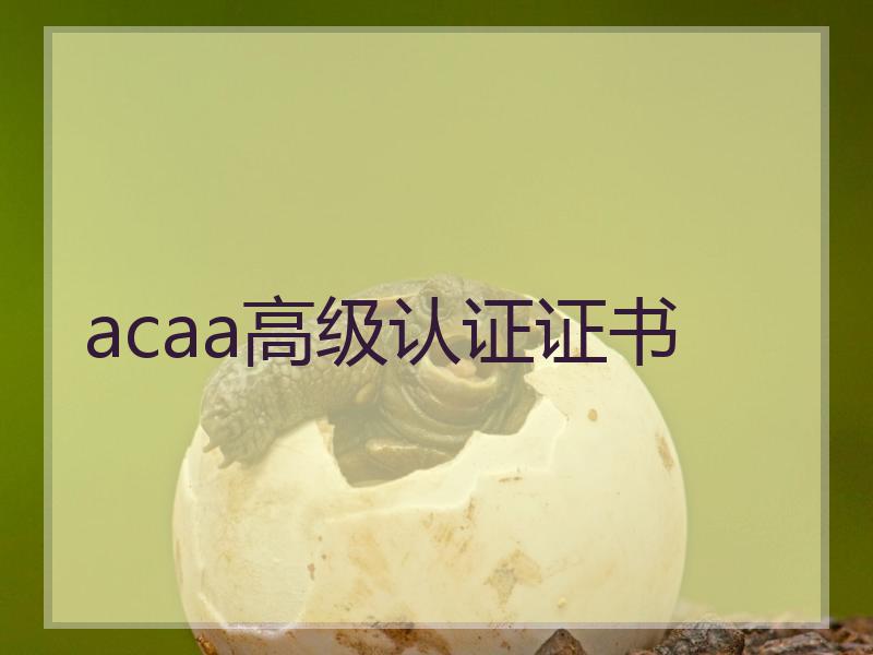 acaa高级认证证书