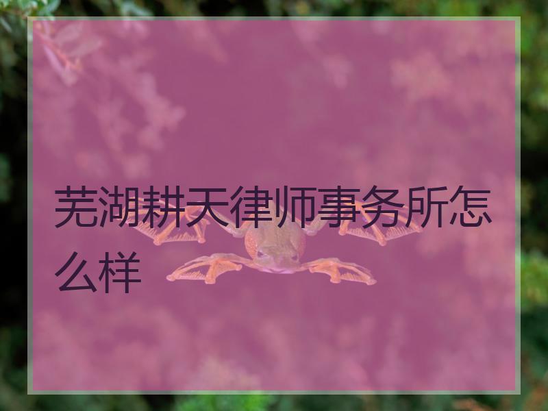 芜湖耕天律师事务所怎么样