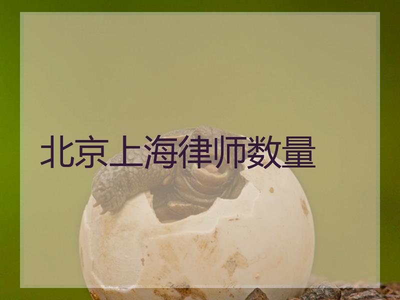 北京上海律师数量