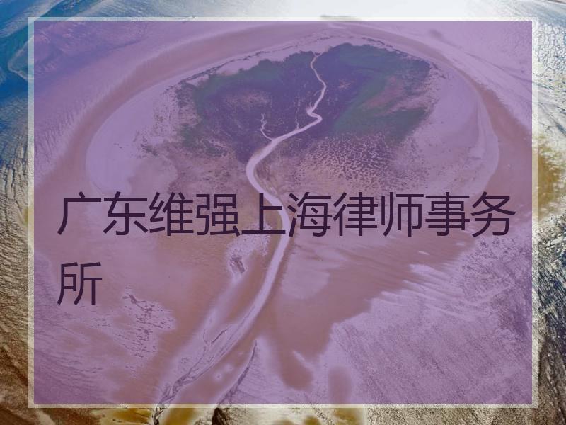 广东维强上海律师事务所