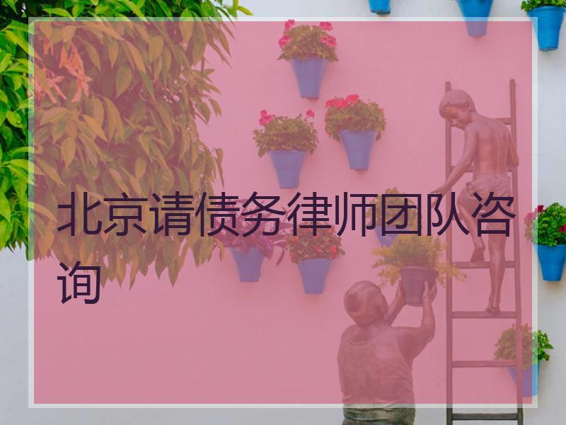 北京请债务律师团队咨询