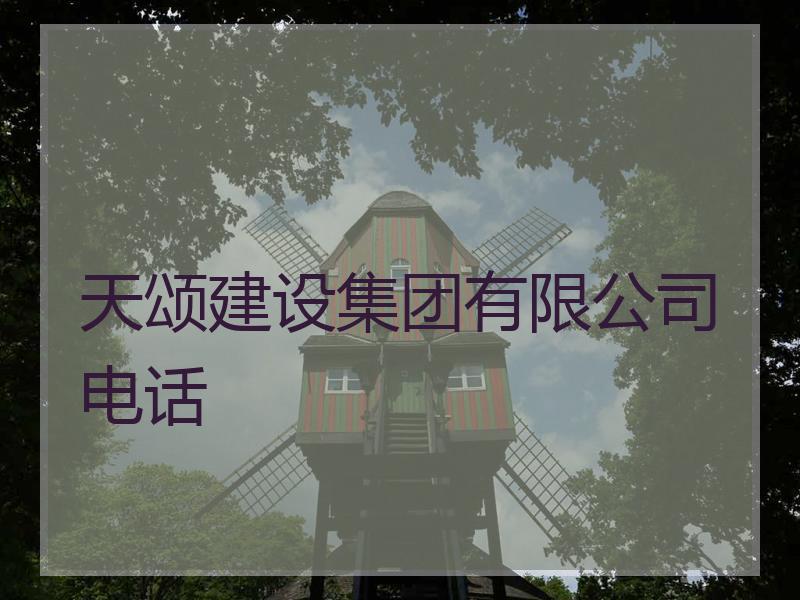 天颂建设集团有限公司电话