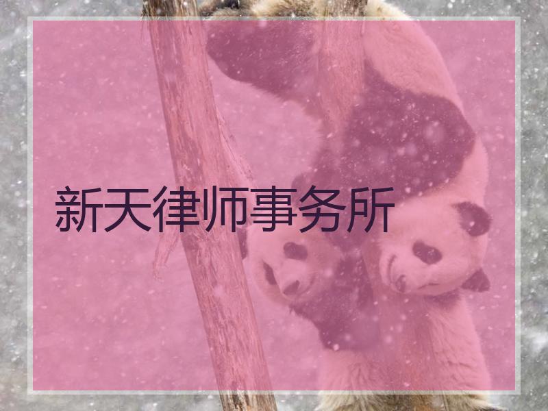 新天律师事务所