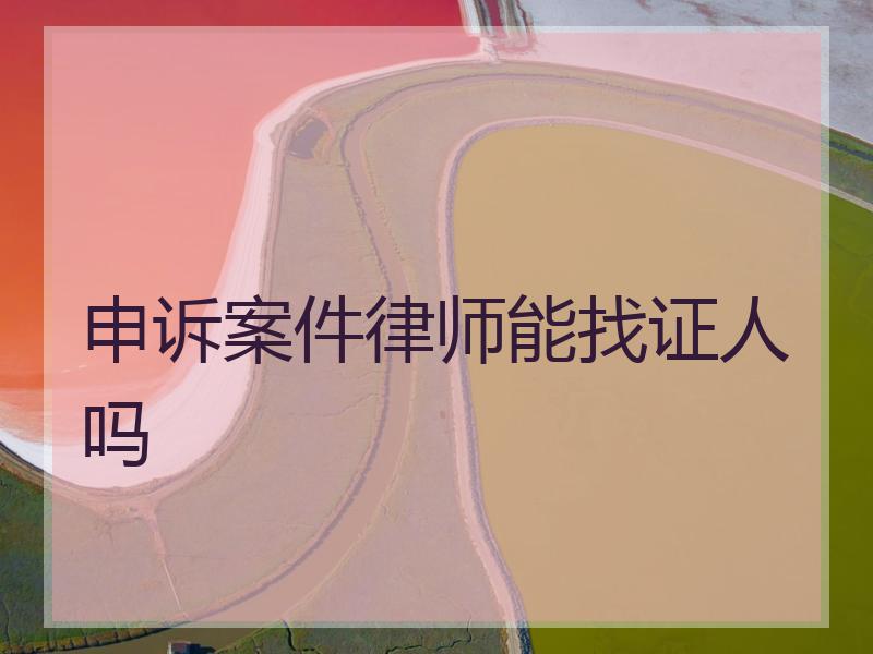 申诉案件律师能找证人吗
