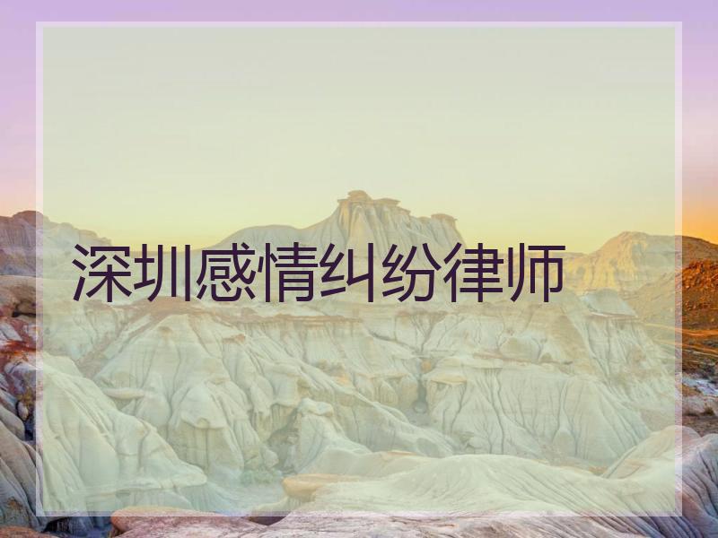 深圳感情纠纷律师