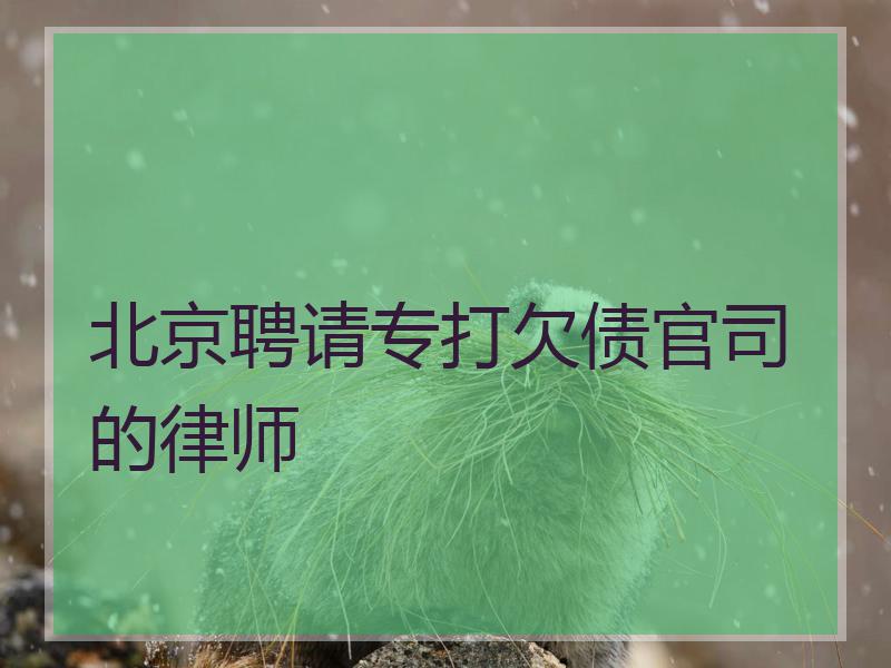 北京聘请专打欠债官司的律师