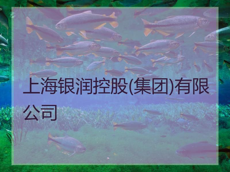 上海银润控股(集团)有限公司