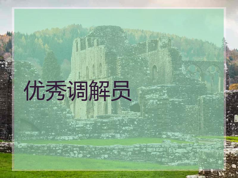 优秀调解员