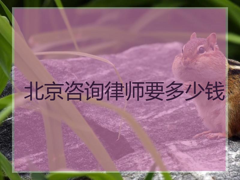 北京咨询律师要多少钱