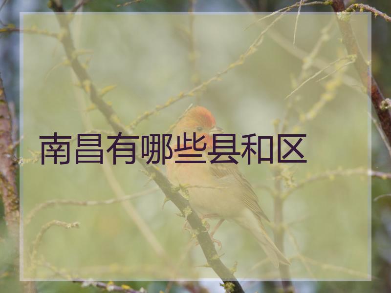 南昌有哪些县和区