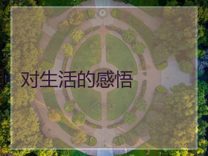 对生活的感悟