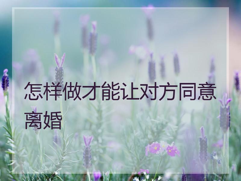 怎样做才能让对方同意离婚