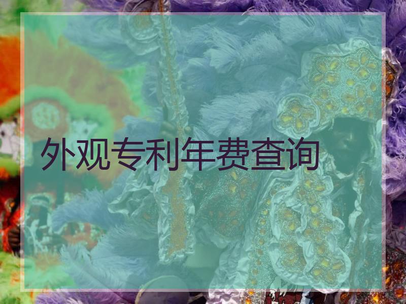 外观专利年费查询