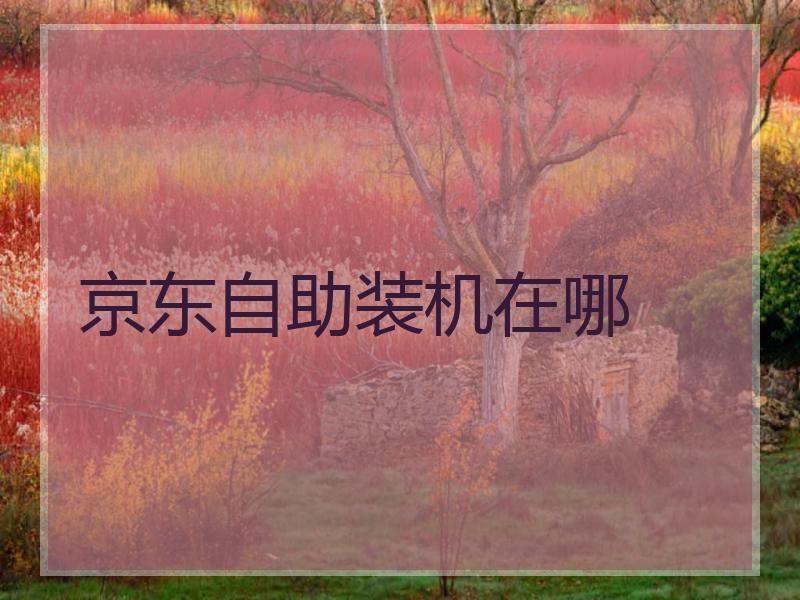 京东自助装机在哪