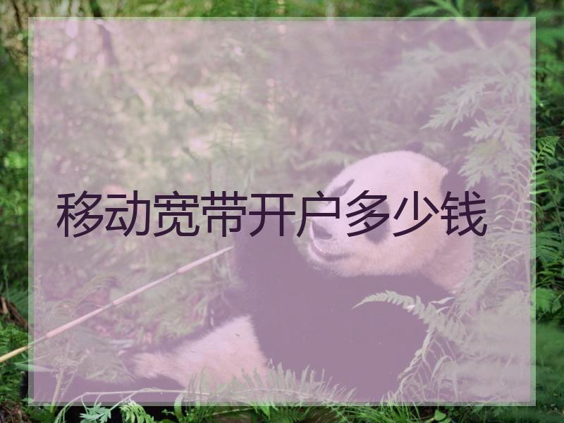 移动宽带开户多少钱