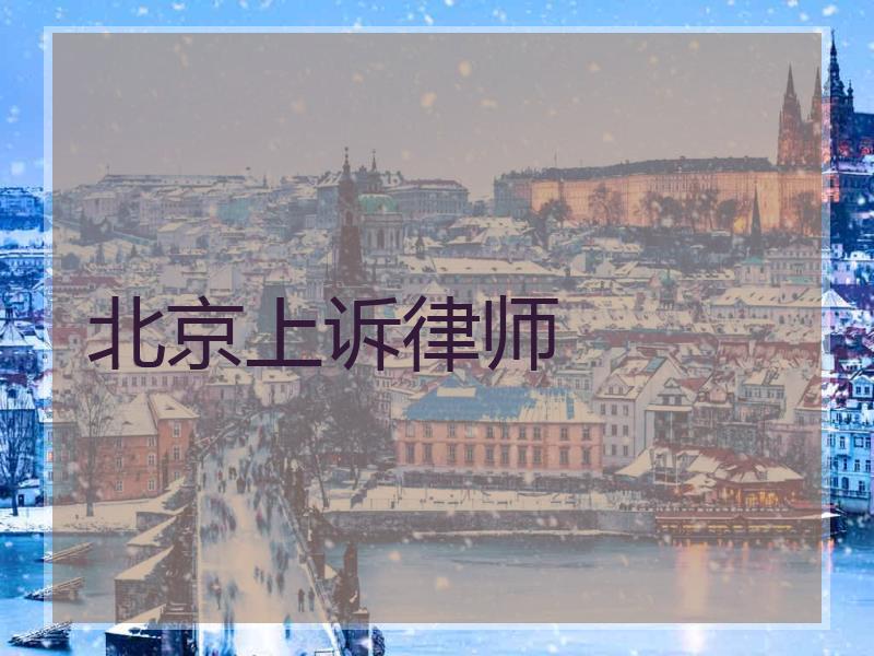 北京上诉律师
