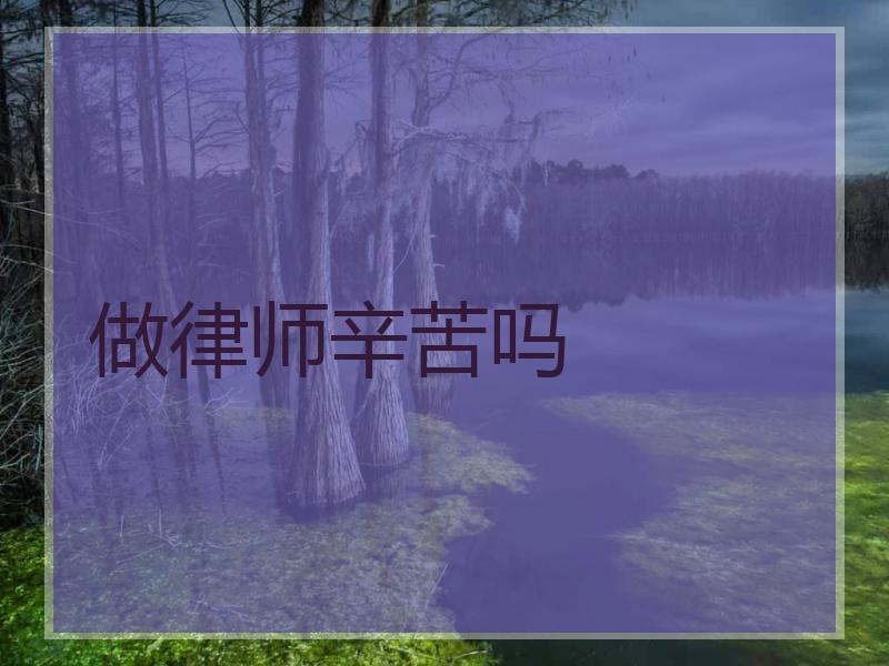 做律师辛苦吗