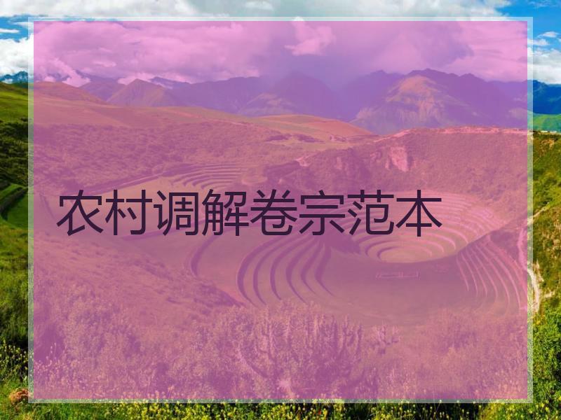 农村调解卷宗范本