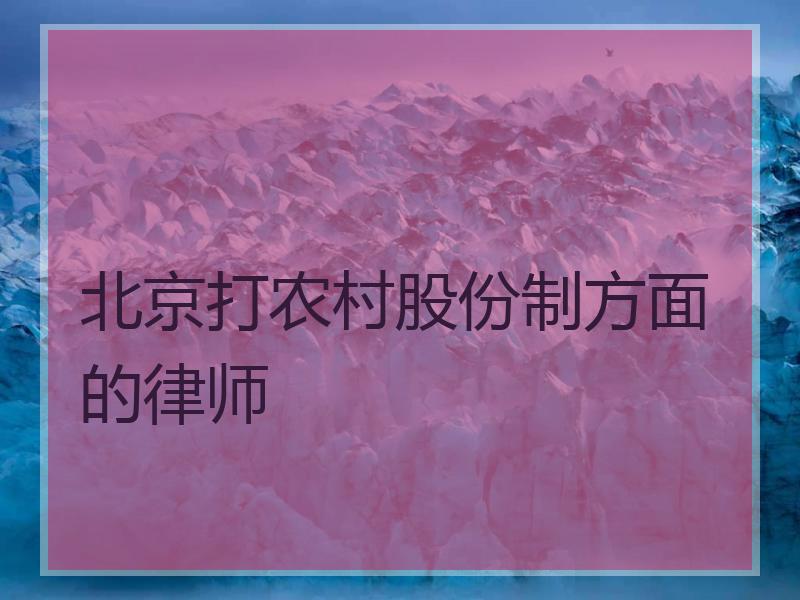 北京打农村股份制方面的律师