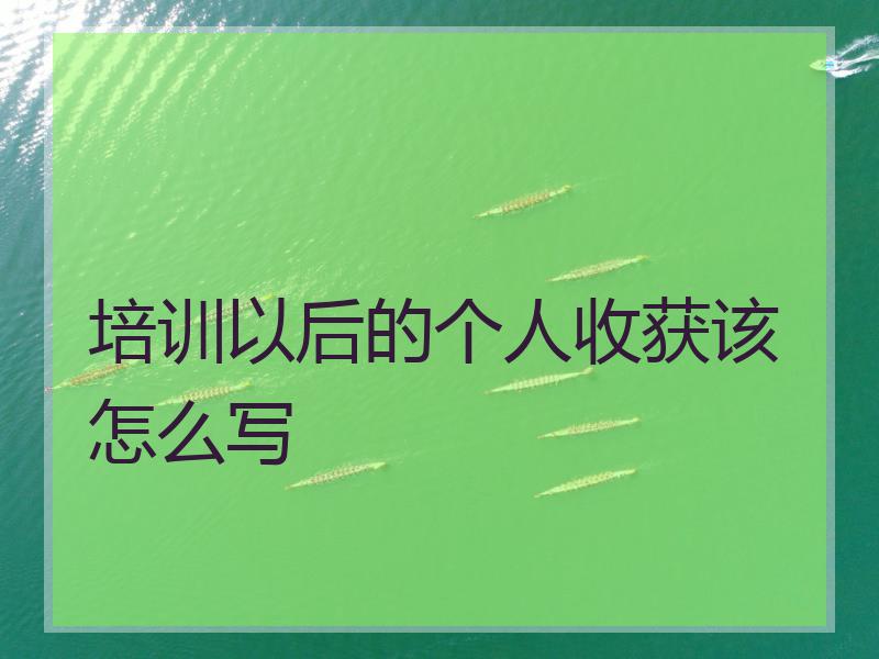 培训以后的个人收获该怎么写