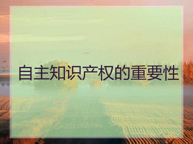 自主知识产权的重要性
